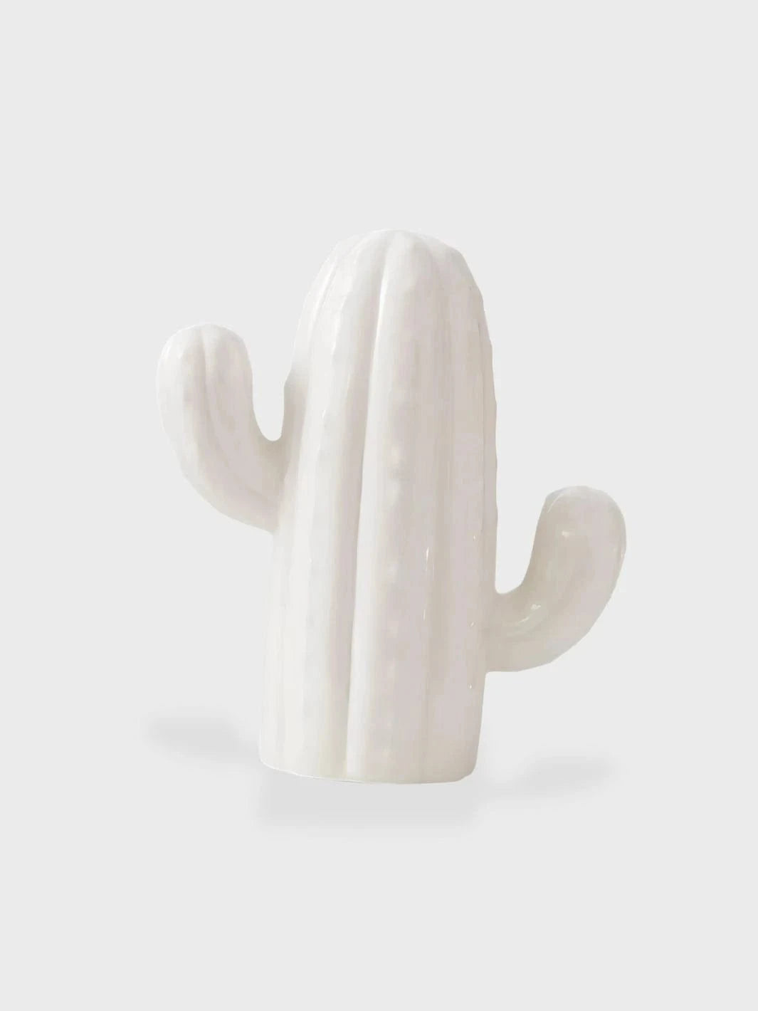 Tirelire Cactus Blanc